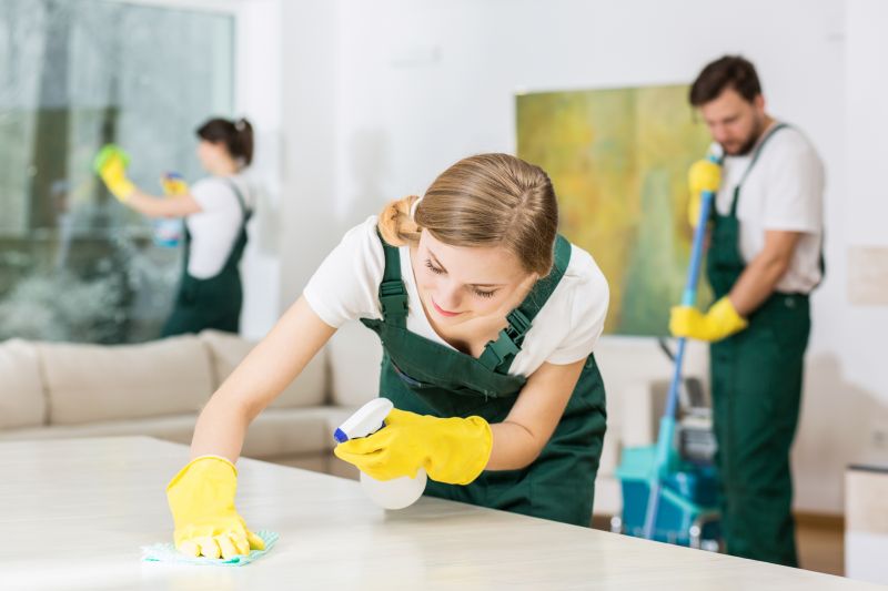 Kitchen Cleaning in Frisco, TX